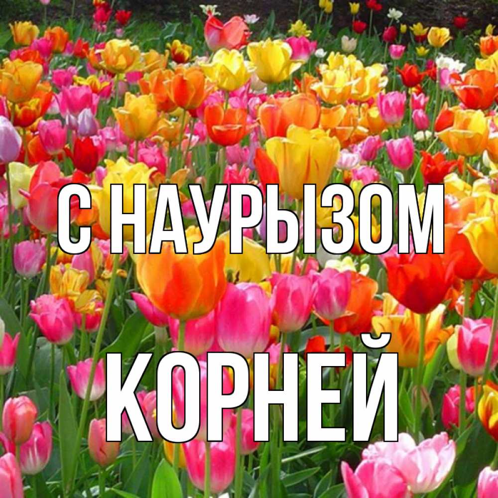 Открытка на каждый день с именем, Корней С наурызом праздник весны наурыз 4 Прикольная открытка с пожеланием онлайн скачать бесплатно 