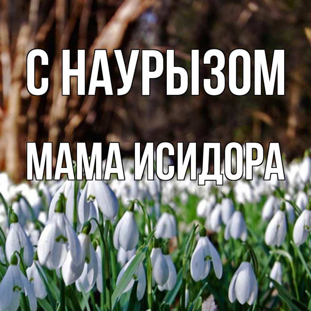 Открытка на каждый день с именем, Мама-Исидора С наурызом с подснежниками 1 Прикольная открытка с пожеланием онлайн скачать бесплатно 