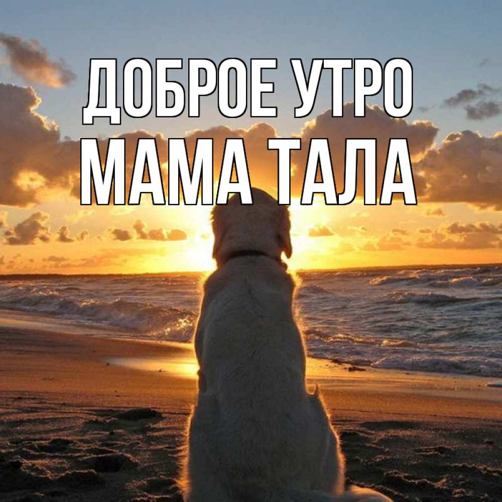 Открытка на каждый день с именем, Мама-Тала Доброе утро восход солнца Прикольная открытка с пожеланием онлайн скачать бесплатно 