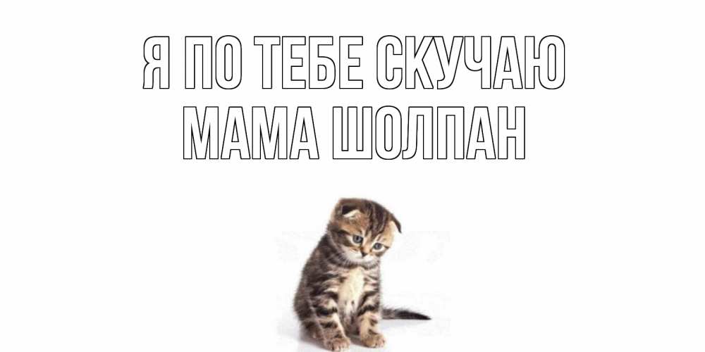 Открытка на каждый день с именем, Мама-Шолпан Я по тебе скучаю кот Прикольная открытка с пожеланием онлайн скачать бесплатно 