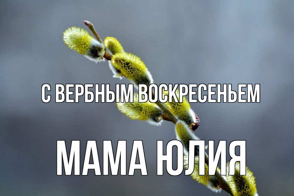 Открытка на каждый день с именем, Мама-Юлия С вербным воскресеньем верба Прикольная открытка с пожеланием онлайн скачать бесплатно 