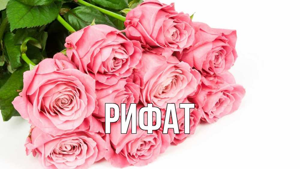 Открытка на каждый день с именем, Рифат Главная с днем бухгалтера 2 Прикольная открытка с пожеланием онлайн скачать бесплатно 