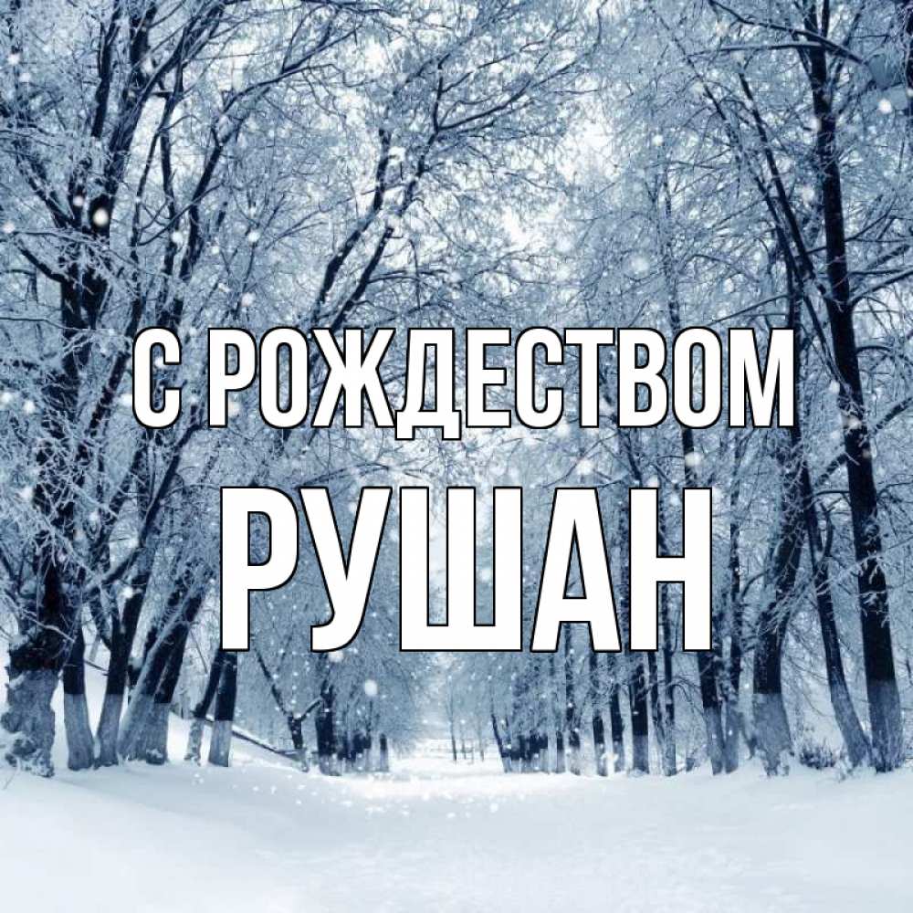 Открытка на каждый день с именем, Рушан С рождеством снег, лес, парк Прикольная открытка с пожеланием онлайн скачать бесплатно 
