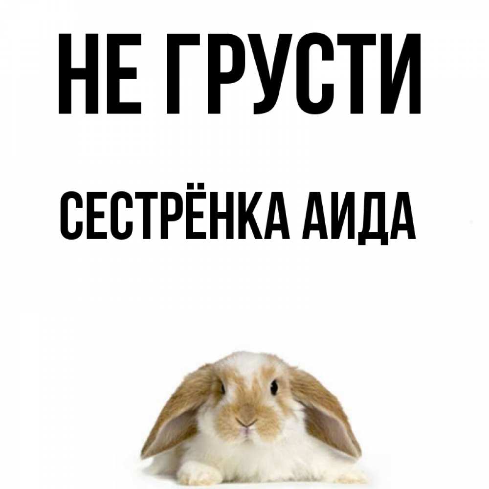 Открытка на каждый день с именем, Сестрёнка-Аида Не грусти коричнево белый заяц с большими ушками Прикольная открытка с пожеланием онлайн скачать бесплатно 