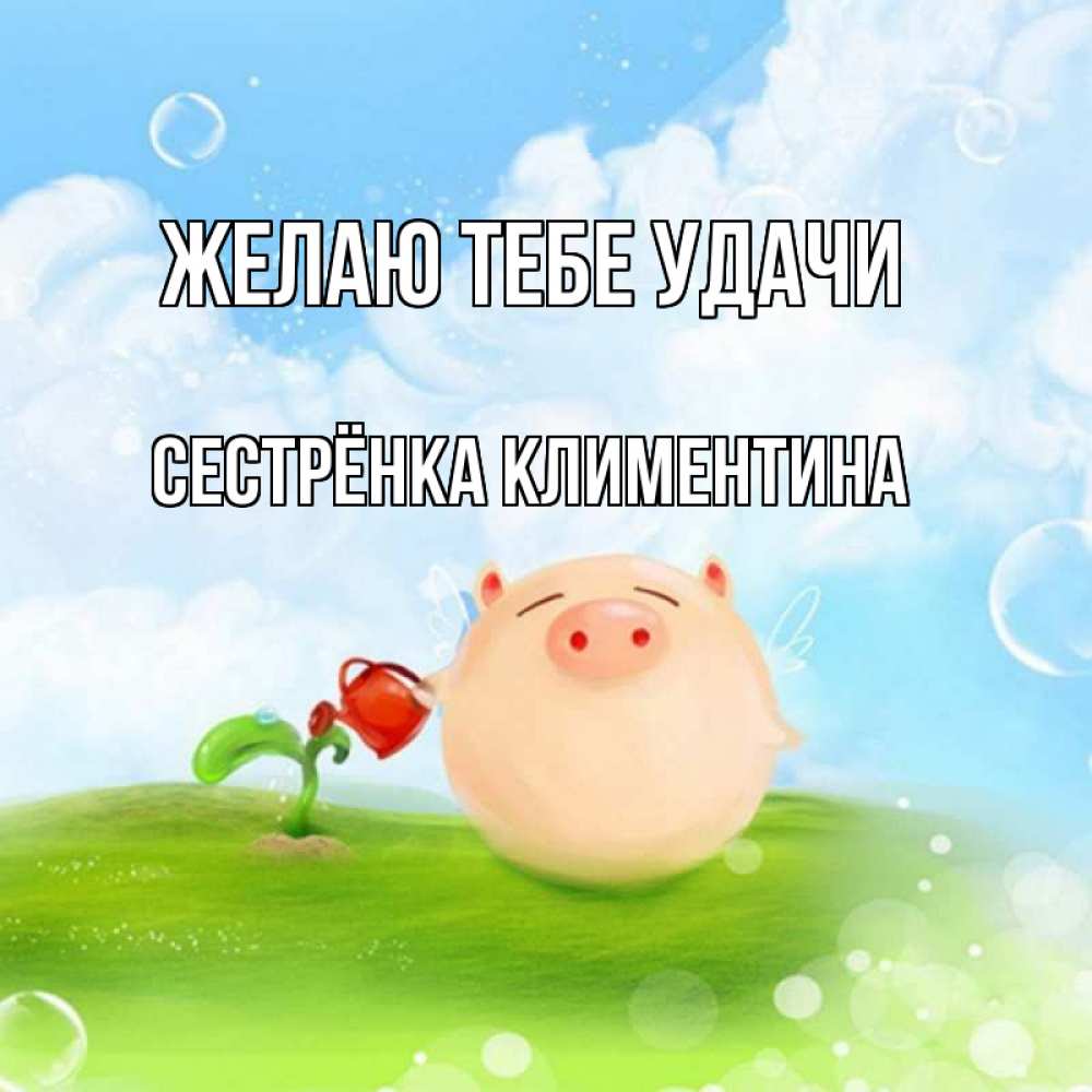 Открытка на каждый день с именем, Сестрёнка-Климентина Желаю тебе удачи поросенок поливает цветок. летнее настроение Прикольная открытка с пожеланием онлайн скачать бесплатно 