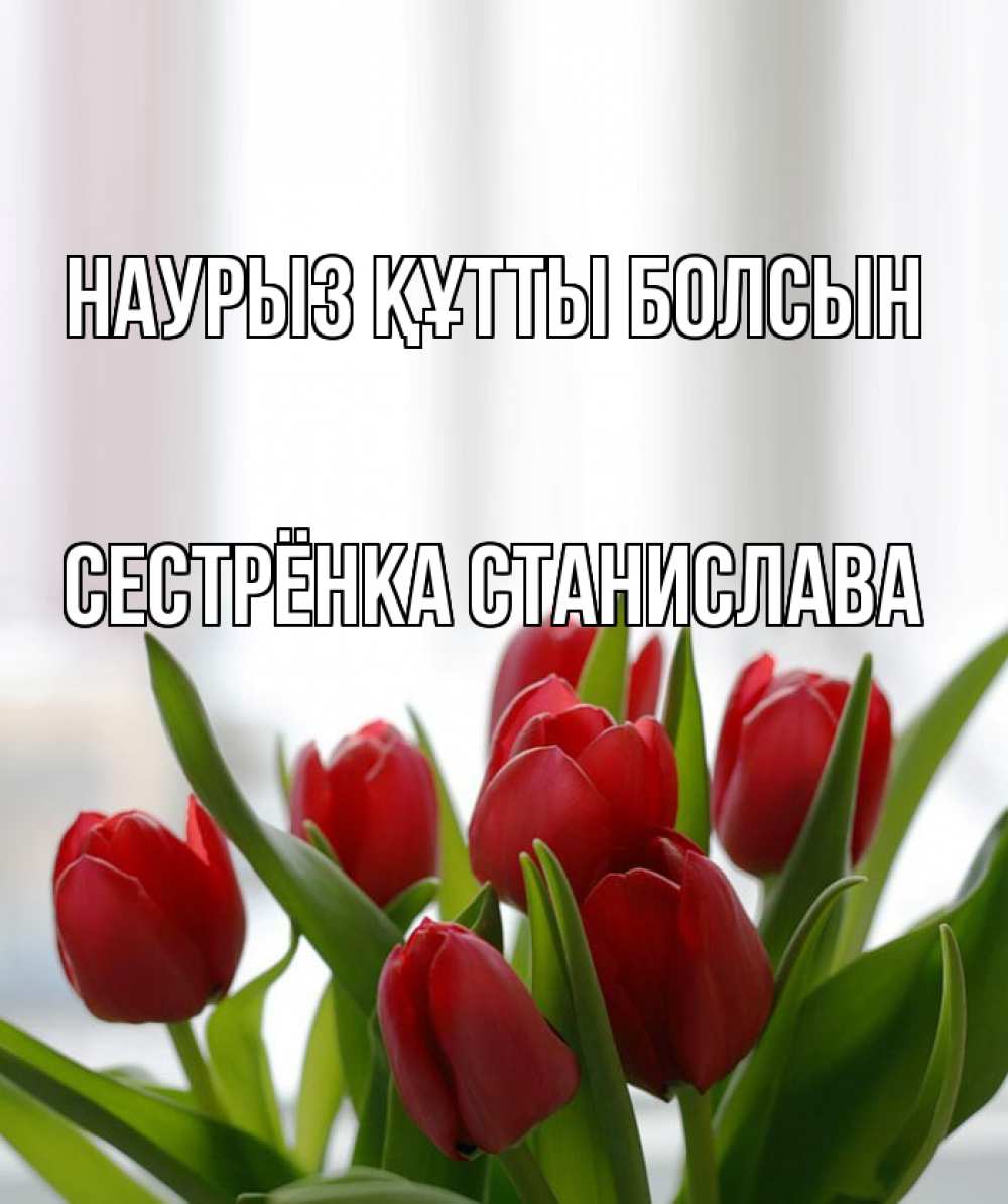 Открытка на каждый день с именем, Сестрёнка-Станислава Наурыз құтты болсын полевые цветы Прикольная открытка с пожеланием онлайн скачать бесплатно 