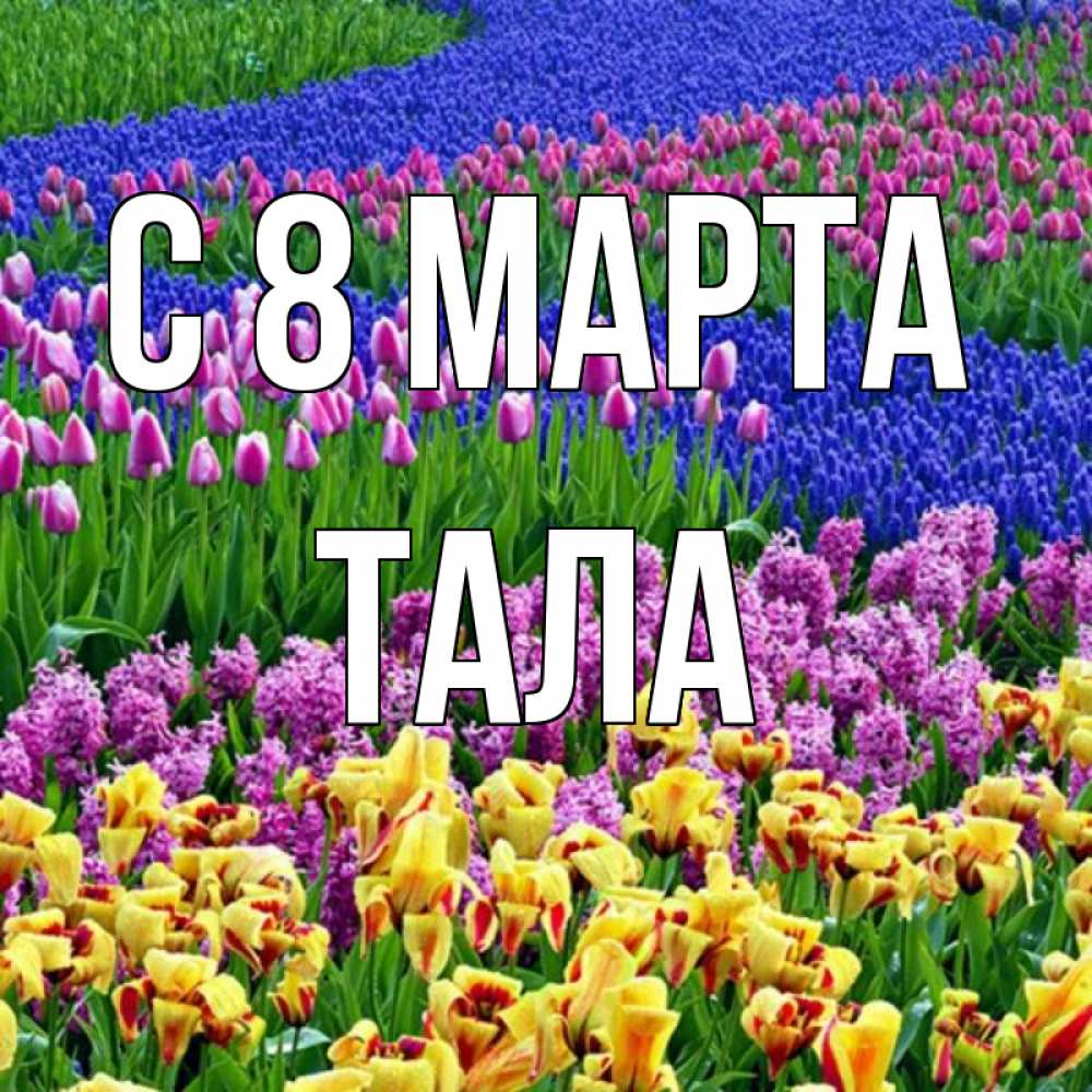 Открытка на каждый день с именем, Тала С 8 МАРТА цветы Прикольная открытка с пожеланием онлайн скачать бесплатно 
