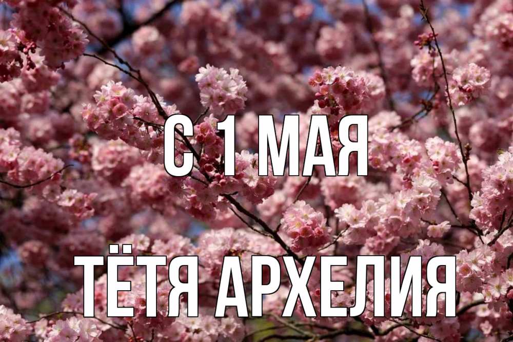 Открытка на каждый день с именем, Тётя-Архелия С 1 мая С 1 мая Прикольная открытка с пожеланием онлайн скачать бесплатно 