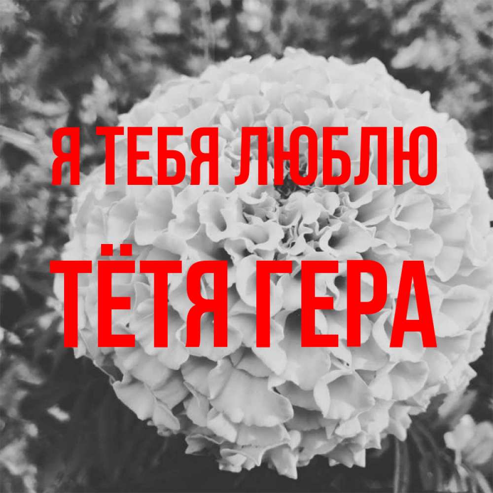 Открытка на каждый день с именем, Тётя-Гера Я тебя люблю подпись Прикольная открытка с пожеланием онлайн скачать бесплатно 