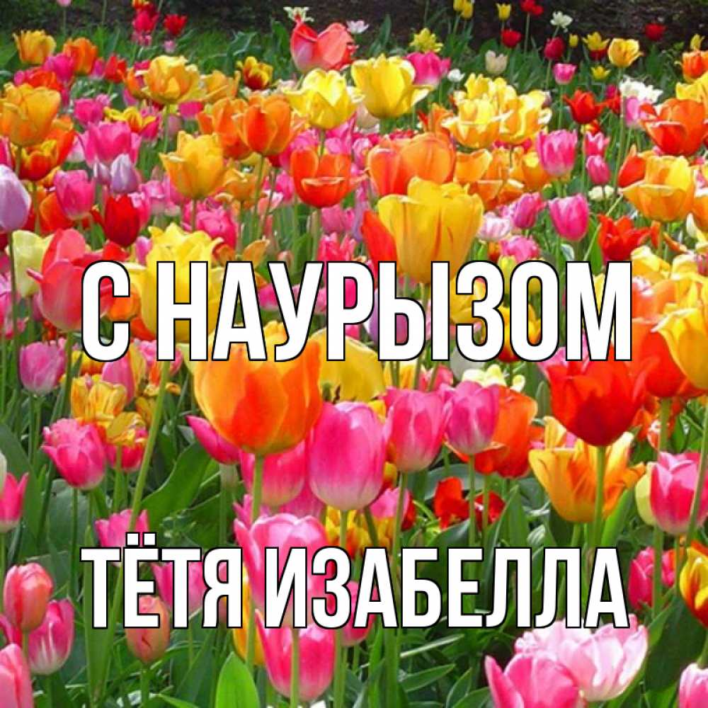 Открытка на каждый день с именем, Тётя-Изабелла С наурызом праздник весны наурыз 4 Прикольная открытка с пожеланием онлайн скачать бесплатно 