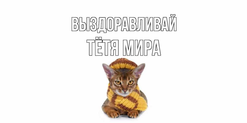 Открытка на каждый день с именем, Тётя-Мира Выздоравливай родные не болейте Прикольная открытка с пожеланием онлайн скачать бесплатно 
