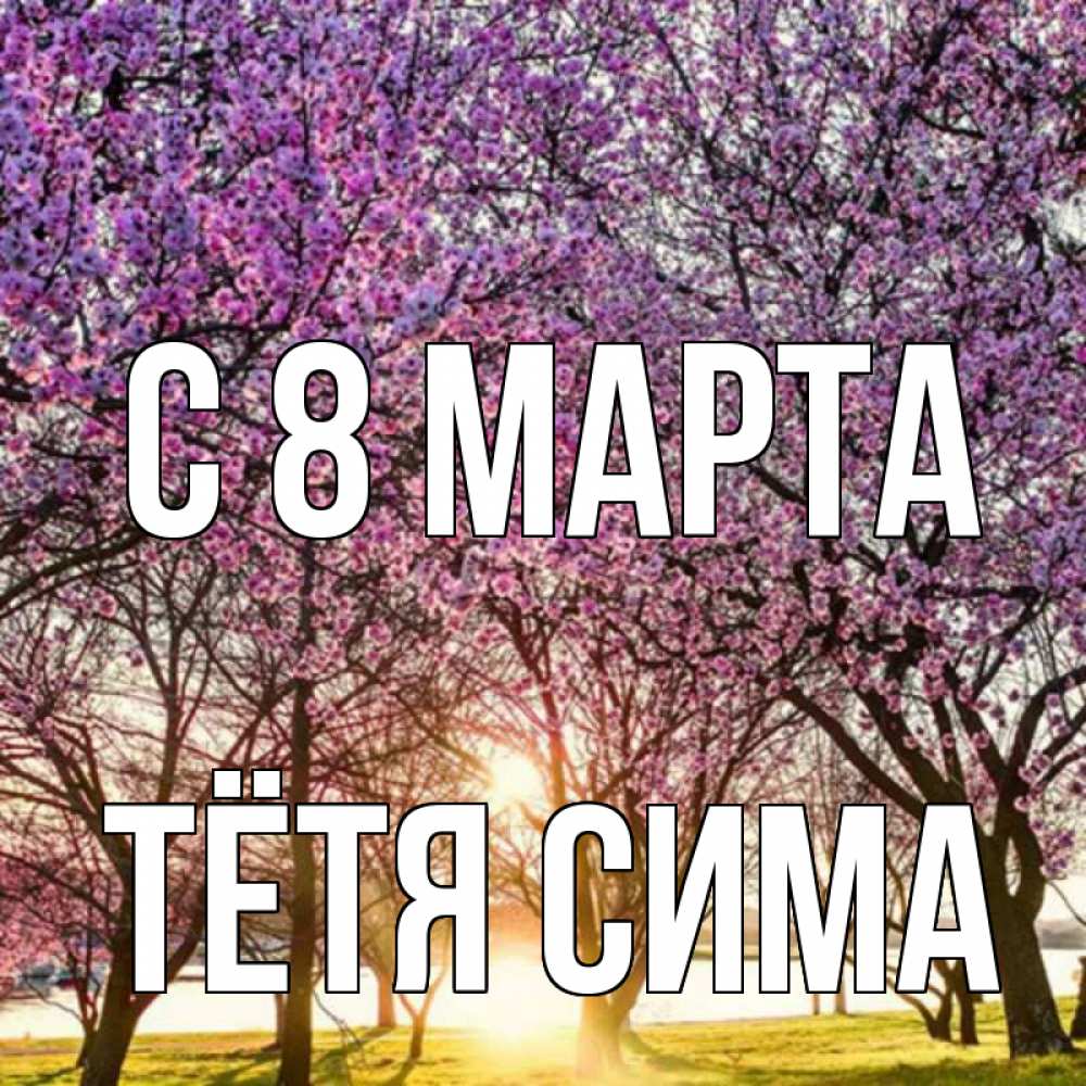 Открытка на каждый день с именем, Тётя-Сима С 8 МАРТА международный женский день Прикольная открытка с пожеланием онлайн скачать бесплатно 