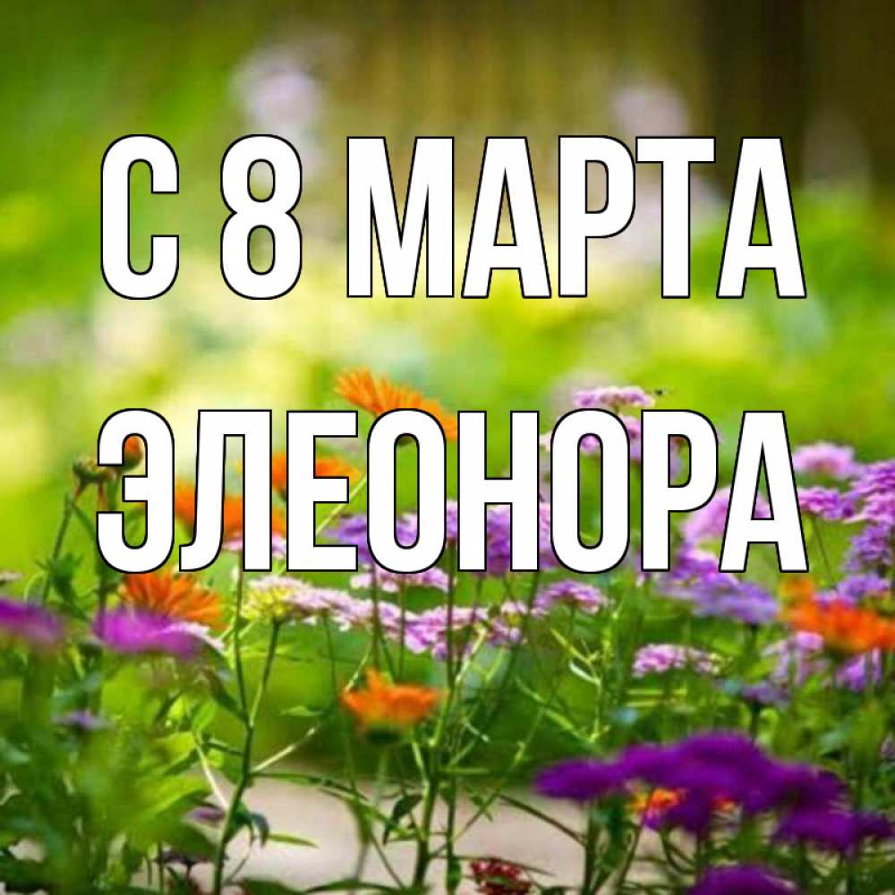 Открытка на каждый день с именем, Элеонора С 8 МАРТА цветы Прикольная открытка с пожеланием онлайн скачать бесплатно 