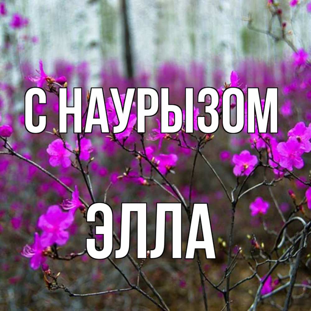 Открытка на каждый день с именем, Элла С наурызом дикие цветы Прикольная открытка с пожеланием онлайн скачать бесплатно 