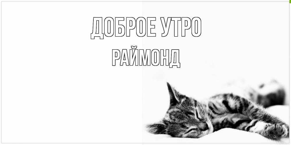 Открытка на каждый день с именем, Раймонд Доброе утро котуся Прикольная открытка с пожеланием онлайн скачать бесплатно 