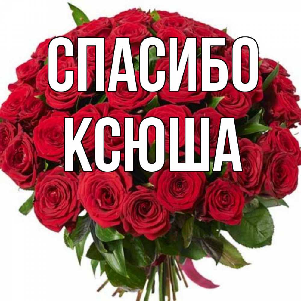 Цветы для ксюши картинки