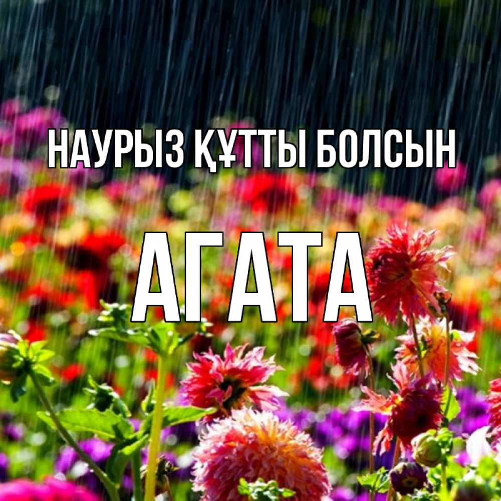 Открытка на каждый день с именем, Агата Наурыз құтты болсын цветы под дождиком к наурызу Прикольная открытка с пожеланием онлайн скачать бесплатно 