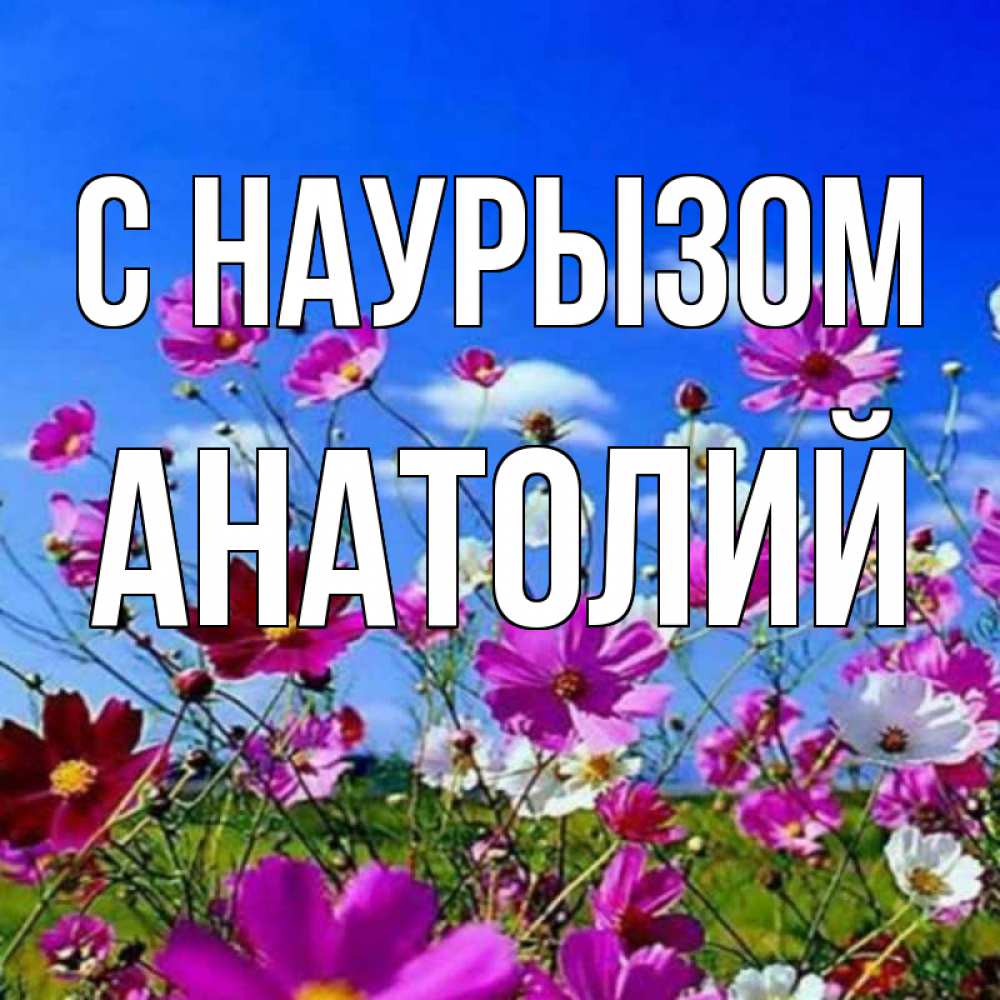 Открытка на каждый день с именем, Анатолий С наурызом цветы Прикольная открытка с пожеланием онлайн скачать бесплатно 