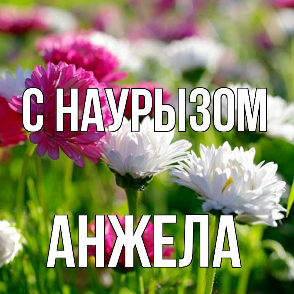 Открытка на каждый день с именем, Анжела С наурызом праздник весны наурыз красота Прикольная открытка с пожеланием онлайн скачать бесплатно 