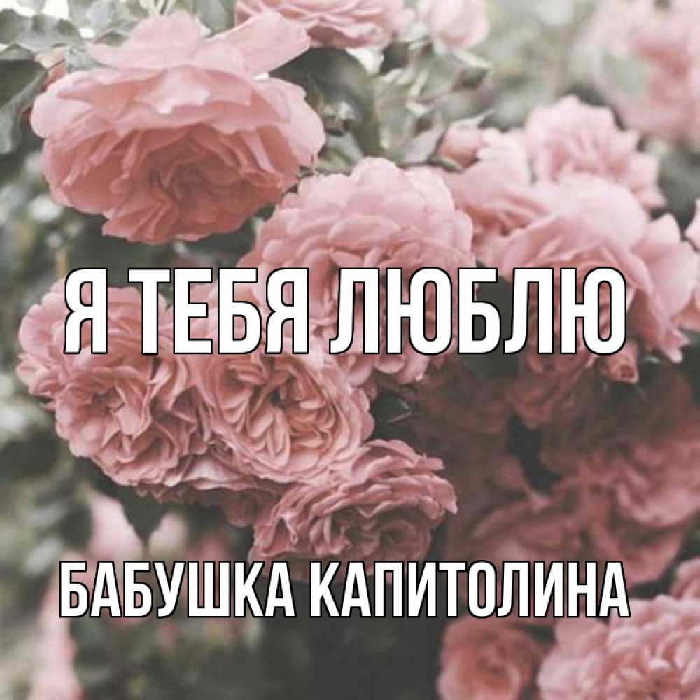 Открытка на каждый день с именем, Бабушка-Капитолина Я тебя люблю розы 3 Прикольная открытка с пожеланием онлайн скачать бесплатно 