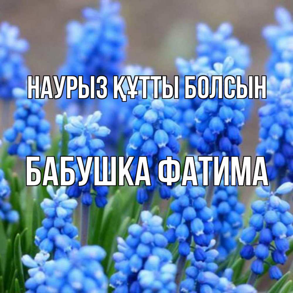 Открытка на каждый день с именем, Бабушка-Фатима Наурыз құтты болсын Поздравительная открытка для женщин с цветами на праздничную дату Прикольная открытка с пожеланием онлайн скачать бесплатно 