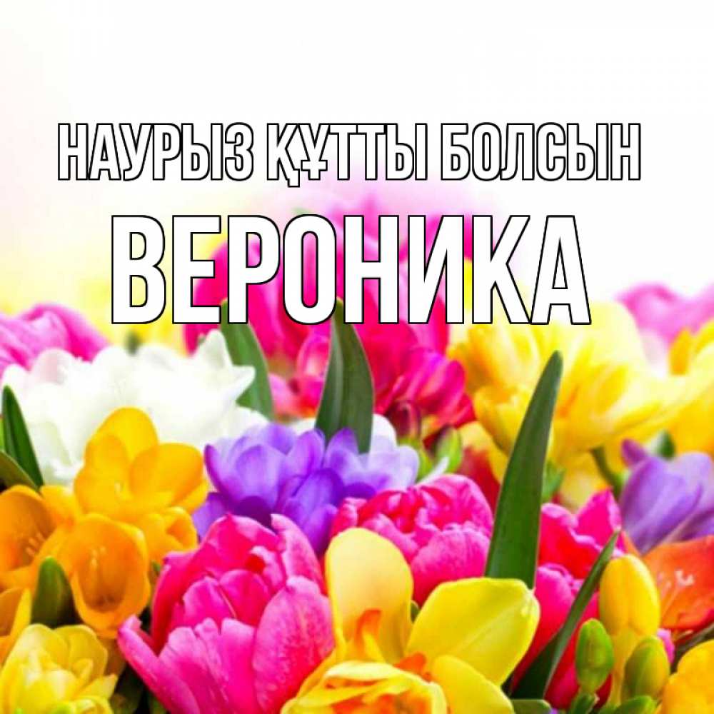 Открытка на каждый день с именем, Вероника Наурыз құтты болсын тюльпаны Прикольная открытка с пожеланием онлайн скачать бесплатно 