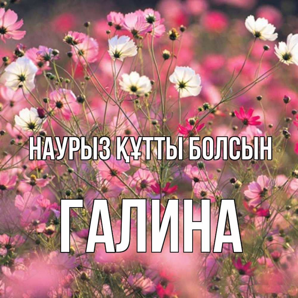 Открытка на каждый день с именем, Галина Наурыз құтты болсын красиво 1 Прикольная открытка с пожеланием онлайн скачать бесплатно 