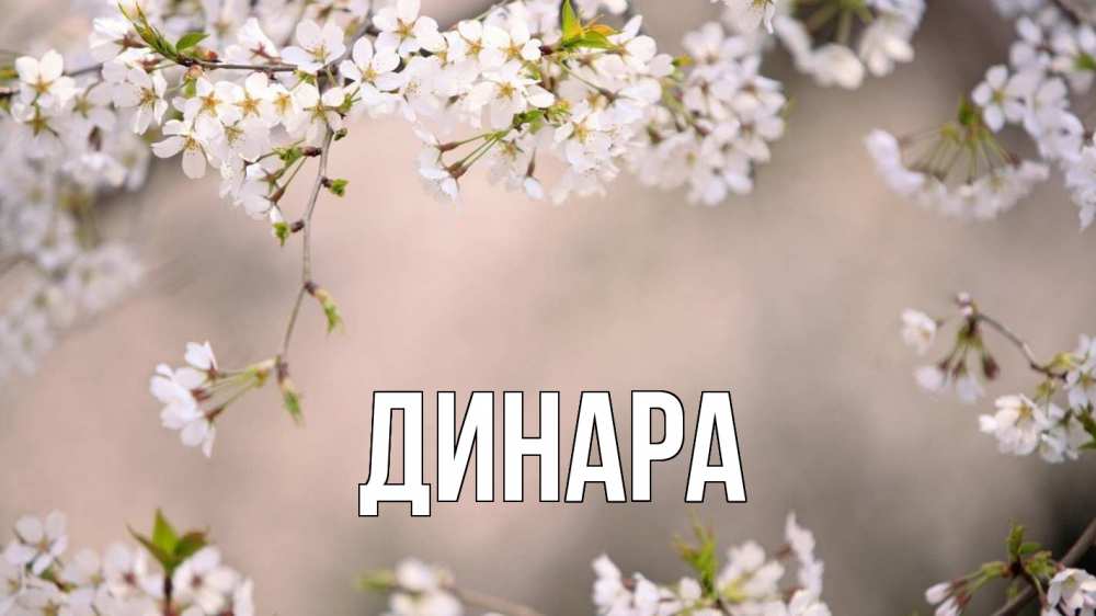 Открытка на каждый день с именем, Динара Главная С 1 мая Прикольная открытка с пожеланием онлайн скачать бесплатно 