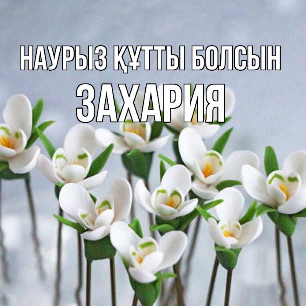 Открытка на каждый день с именем, Захария Наурыз құтты болсын весенние цветы Прикольная открытка с пожеланием онлайн скачать бесплатно 