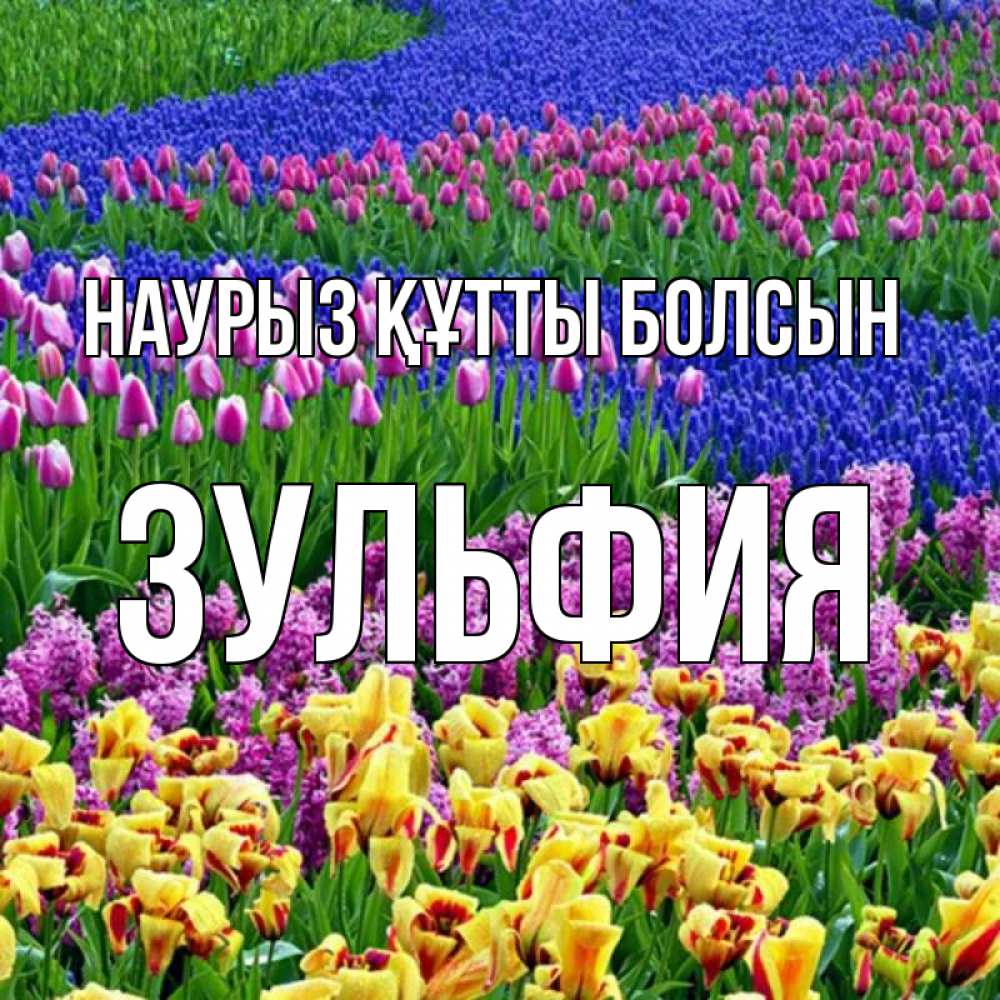 Открытка на каждый день с именем, Зульфия Наурыз құтты болсын цветы Прикольная открытка с пожеланием онлайн скачать бесплатно 