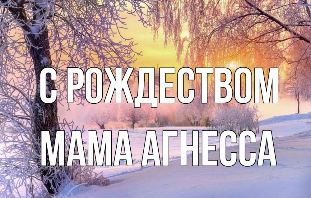 Открытка на каждый день с именем, Мама-Агнесса С рождеством рождество, лес, зима 1 Прикольная открытка с пожеланием онлайн скачать бесплатно 