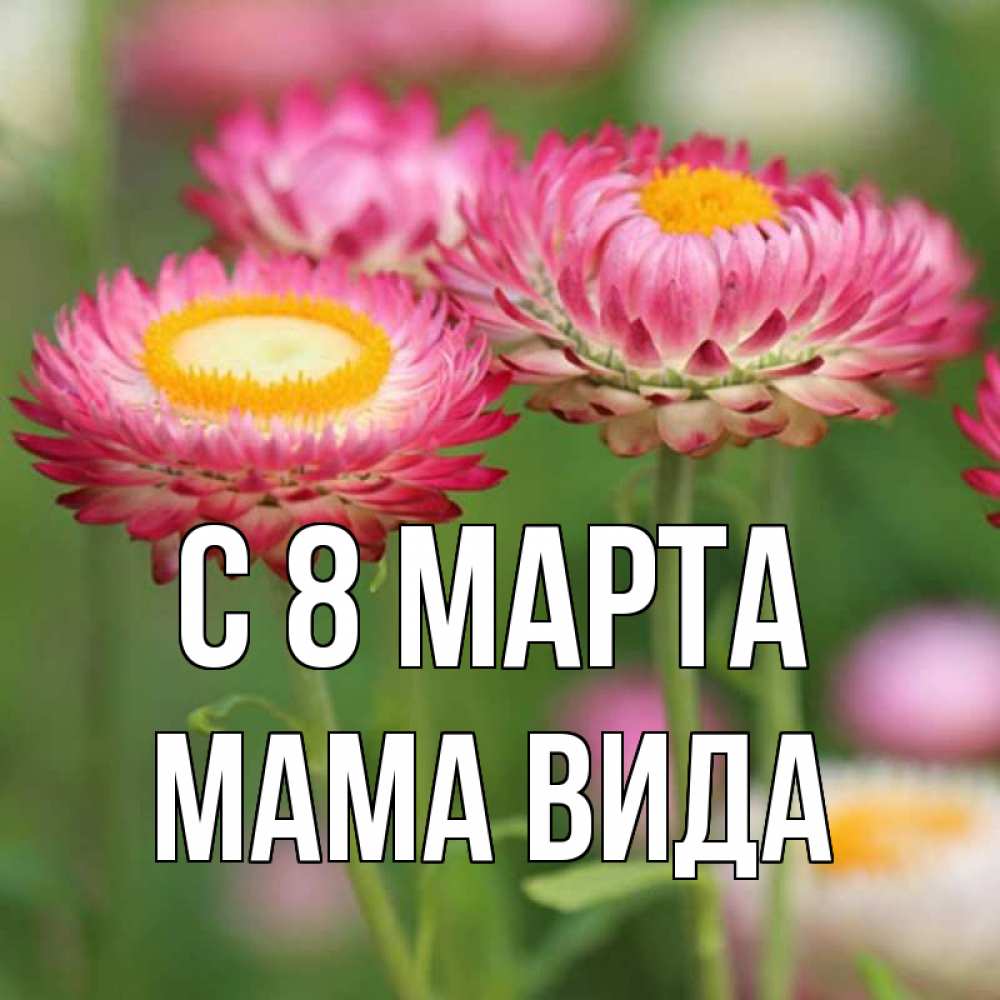 Открытка на каждый день с именем, Мама-Вида С 8 марта подарок на международный женский день Прикольная открытка с пожеланием онлайн скачать бесплатно 