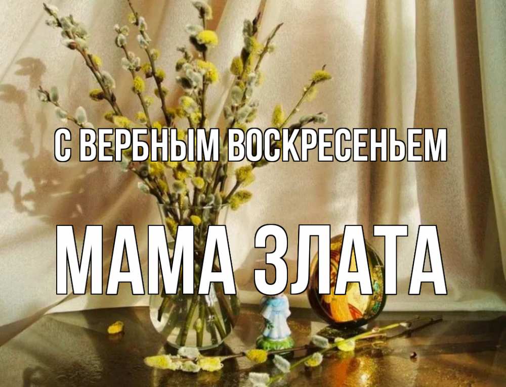 Открытка на каждый день с именем, Мама-Злата С вербным воскресеньем верба 1 Прикольная открытка с пожеланием онлайн скачать бесплатно 