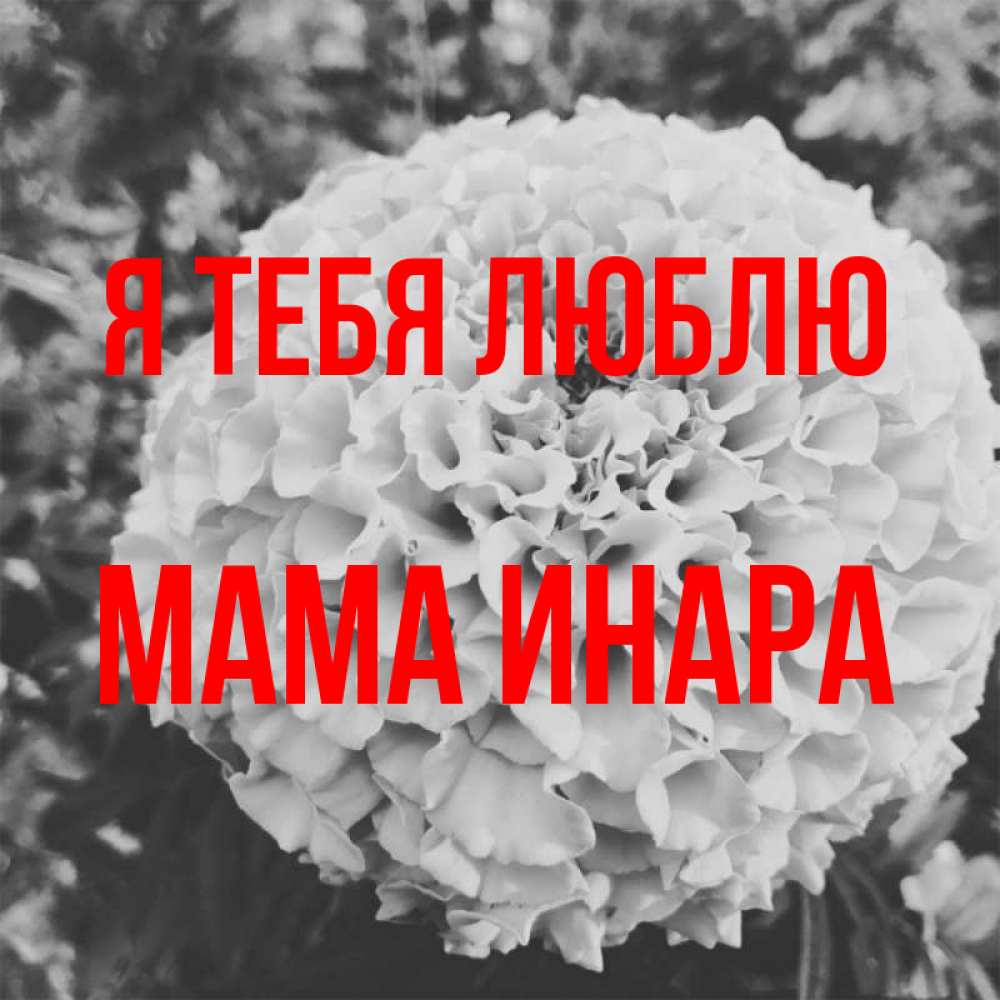 Открытка на каждый день с именем, Мама-Инара Я тебя люблю подпись Прикольная открытка с пожеланием онлайн скачать бесплатно 
