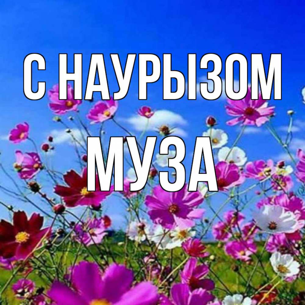 Открытка на каждый день с именем, Муза С наурызом цветы Прикольная открытка с пожеланием онлайн скачать бесплатно 