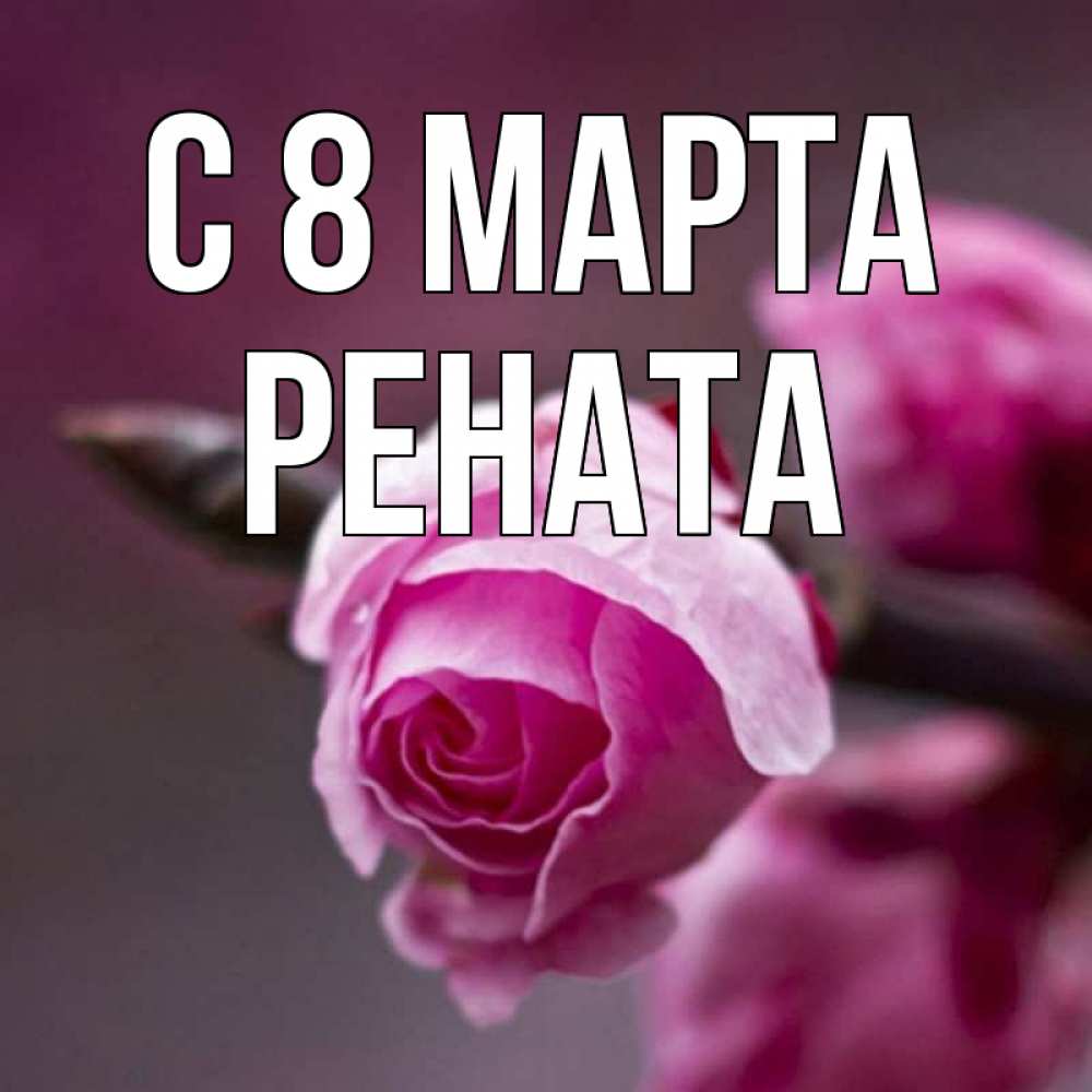 Открытка на каждый день с именем, Рената С 8 МАРТА весна Прикольная открытка с пожеланием онлайн скачать бесплатно 