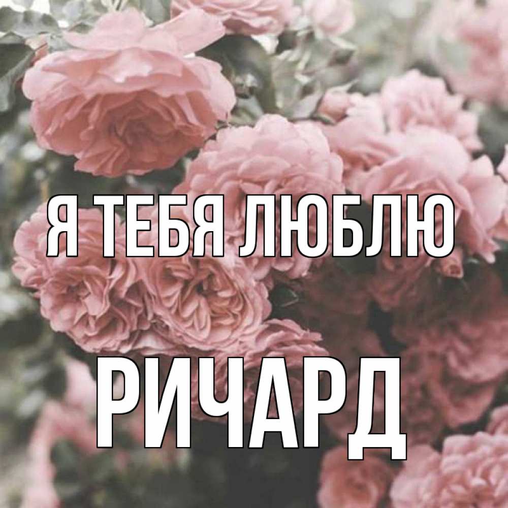 Открытка на каждый день с именем, Ричард Я тебя люблю розы 3 Прикольная открытка с пожеланием онлайн скачать бесплатно 