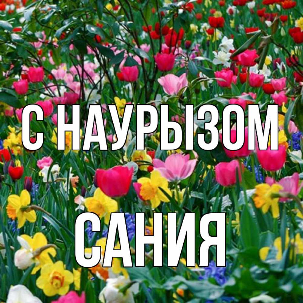 Открытка на каждый день с именем, Сания С наурызом с наурызом праздником весны поздравления для женщины Прикольная открытка с пожеланием онлайн скачать бесплатно 