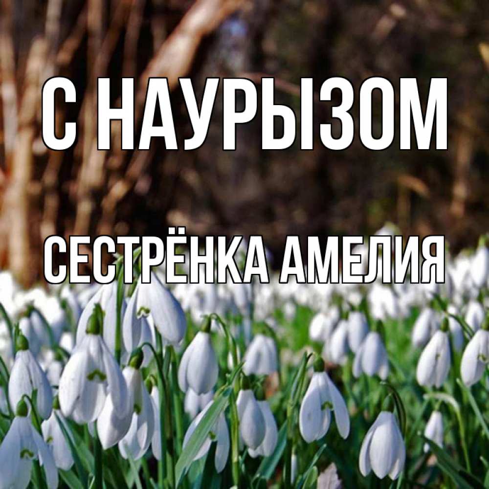 Открытка на каждый день с именем, Сестрёнка-Амелия С наурызом с подснежниками 1 Прикольная открытка с пожеланием онлайн скачать бесплатно 