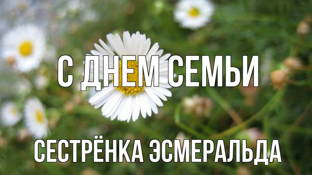 Открытка на каждый день с именем, Сестрёнка-Эсмеральда С днем семьи с днем семьи Прикольная открытка с пожеланием онлайн скачать бесплатно 