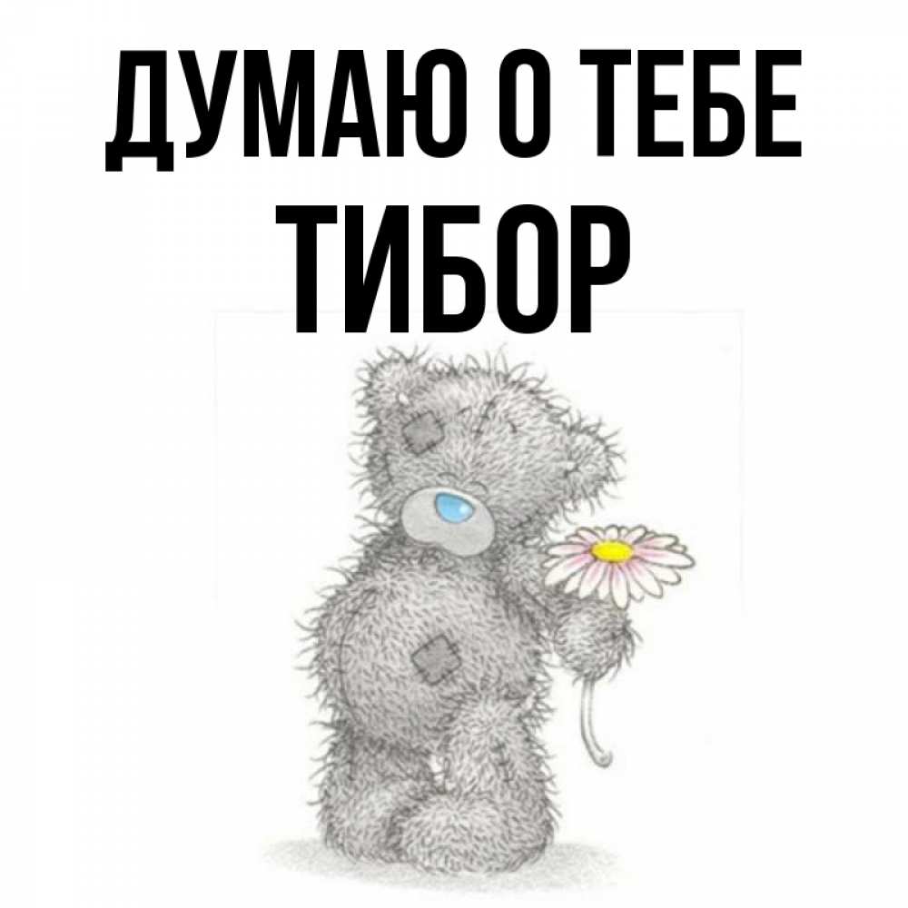 Открытка на каждый день с именем, Тибор Думаю о тебе мысли только о тебе Прикольная открытка с пожеланием онлайн скачать бесплатно 