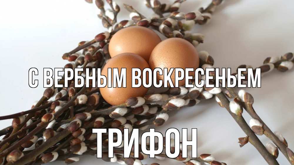 Открытка на каждый день с именем, Трифон С вербным воскресеньем верба 1 Прикольная открытка с пожеланием онлайн скачать бесплатно 