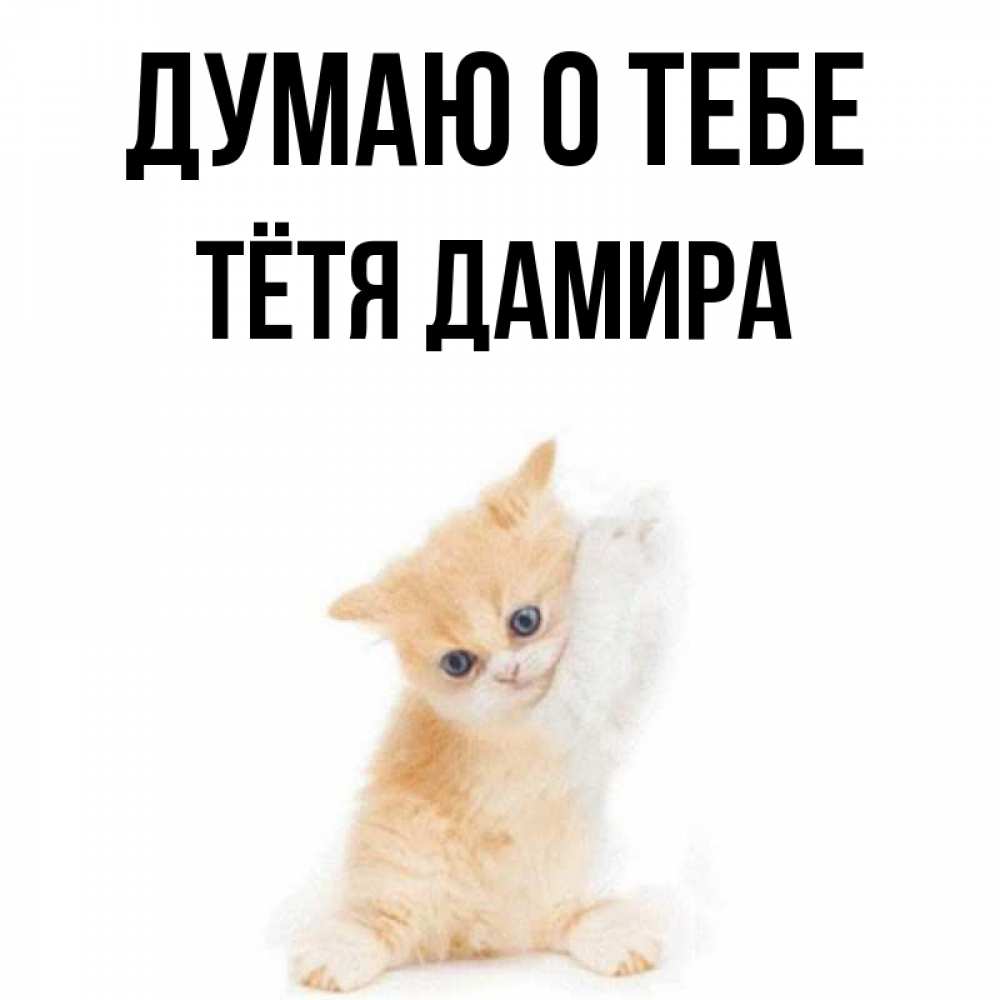 Открытка на каждый день с именем, Тётя-Дамира Думаю о тебе зверушки и милота Прикольная открытка с пожеланием онлайн скачать бесплатно 