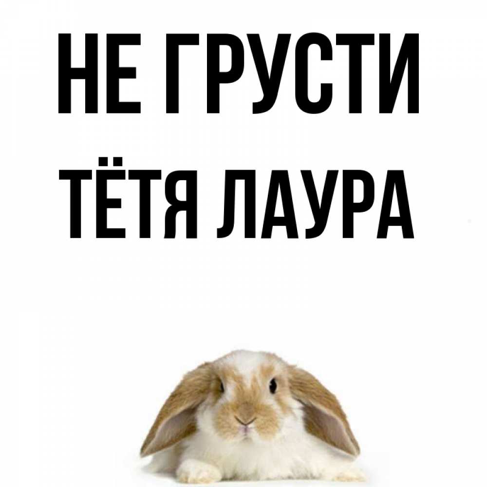Открытка на каждый день с именем, Тётя-Лаура Не грусти коричнево белый заяц с большими ушками Прикольная открытка с пожеланием онлайн скачать бесплатно 