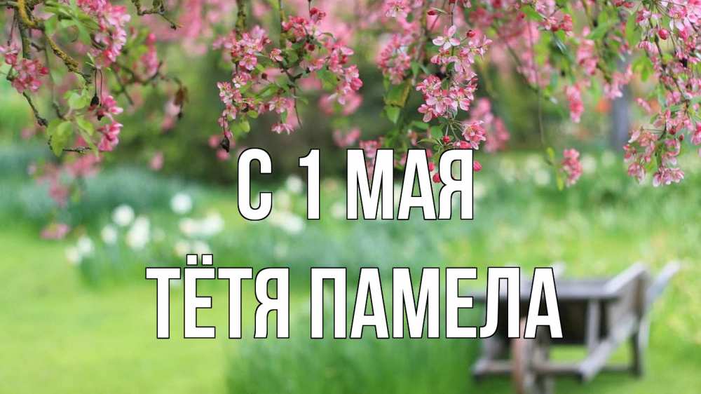 Открытка на каждый день с именем, Тётя-Памела С 1 мая С 1 мая Прикольная открытка с пожеланием онлайн скачать бесплатно 