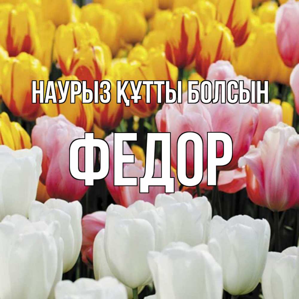 Открытка на каждый день с именем, Федор Наурыз құтты болсын разноцветные цветы Прикольная открытка с пожеланием онлайн скачать бесплатно 