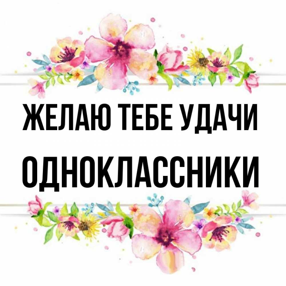 Одноклассники удача