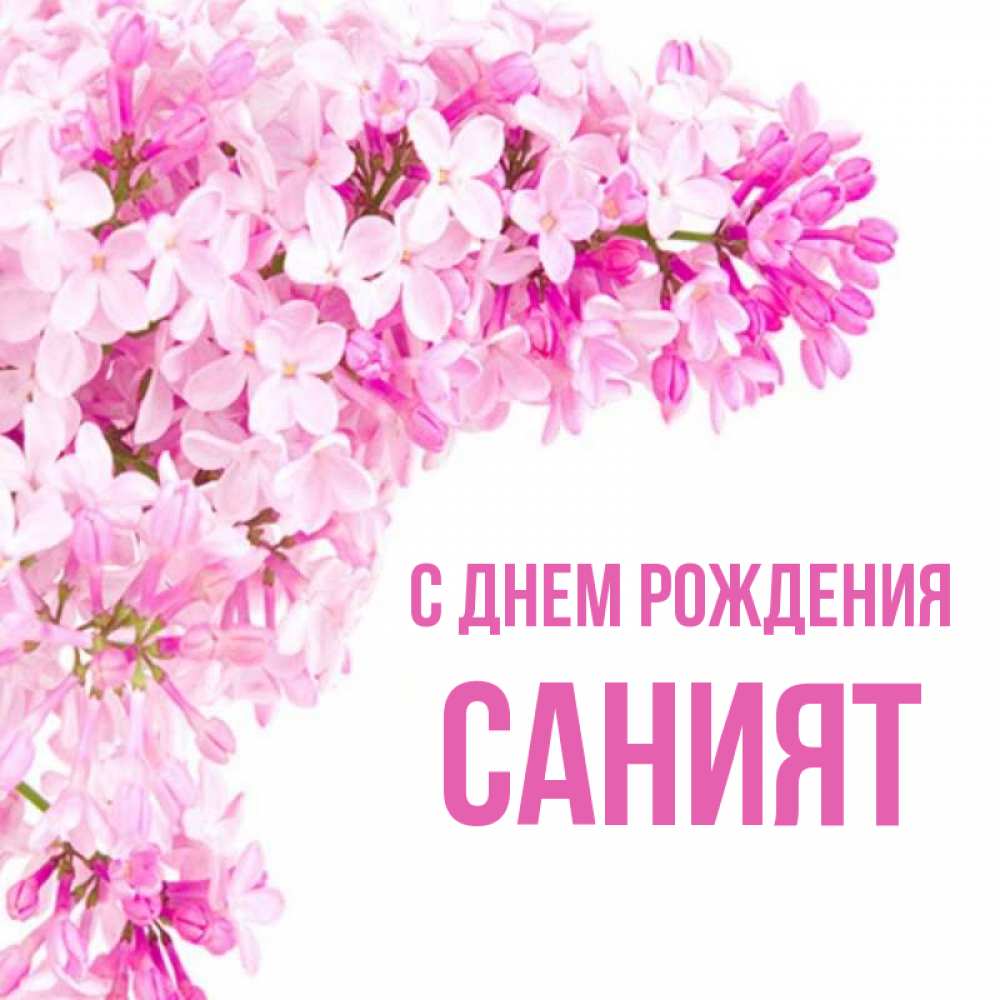 С днем рождения саният картинки