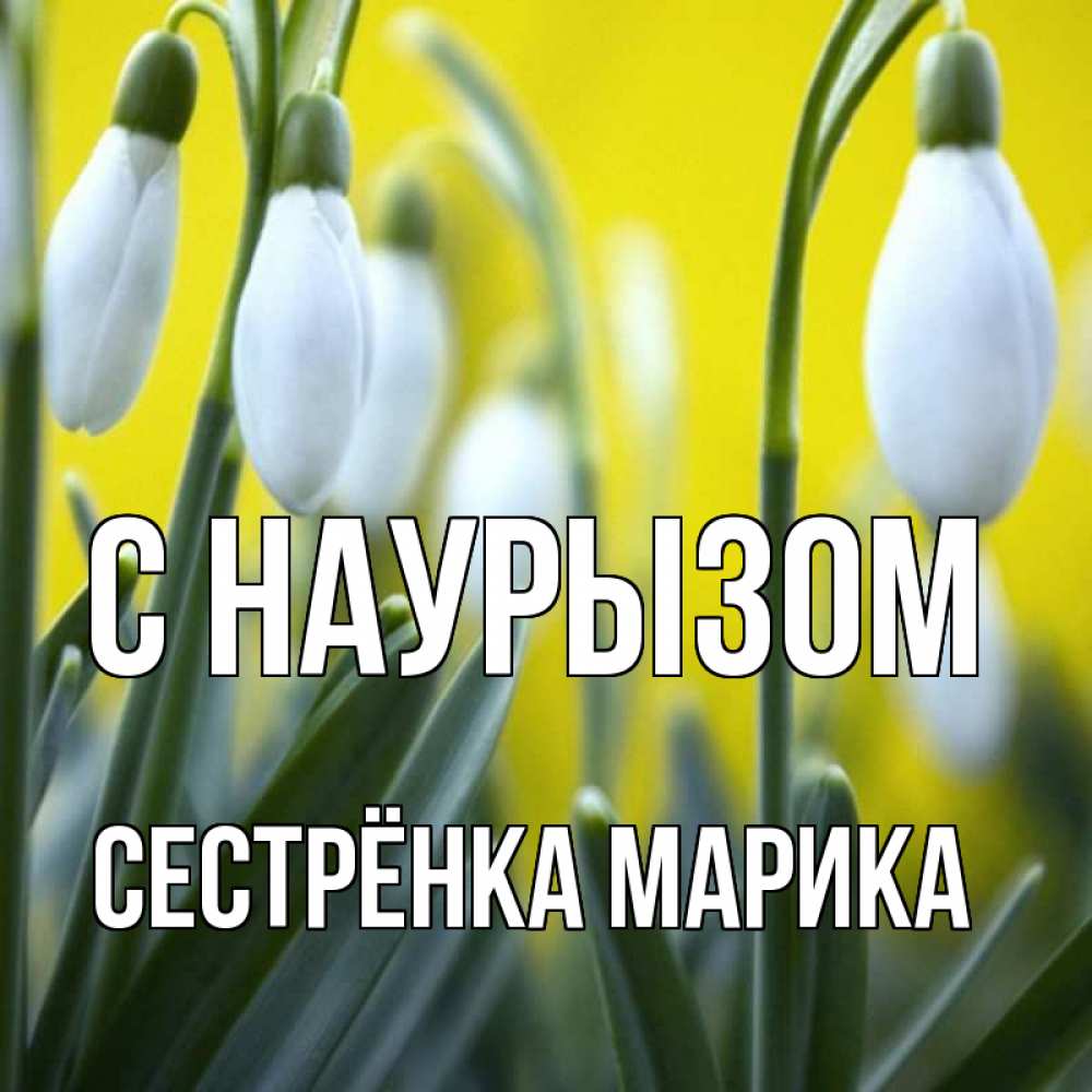 Открытка на каждый день с именем, Сестрёнка-Марика С наурызом весенние цветы Прикольная открытка с пожеланием онлайн скачать бесплатно 