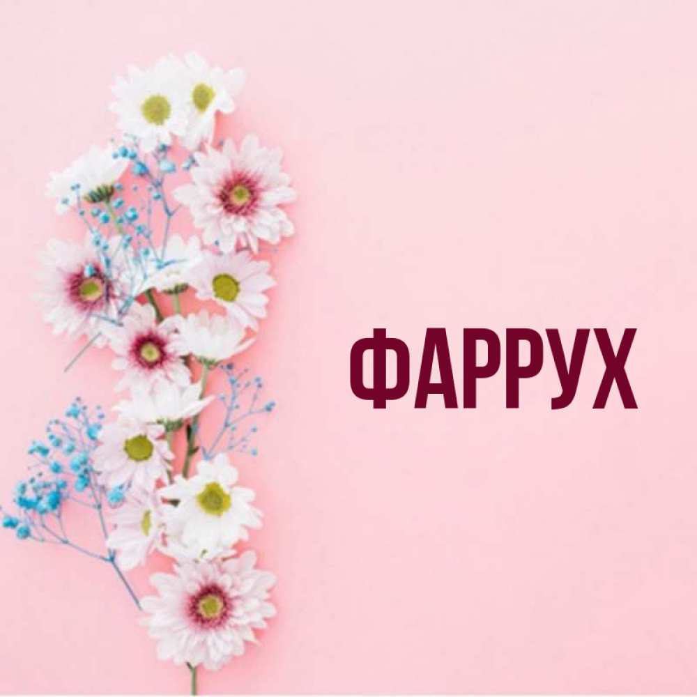 Картинка  с именем , Фаррух